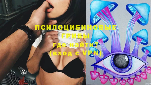 стафф Алексин