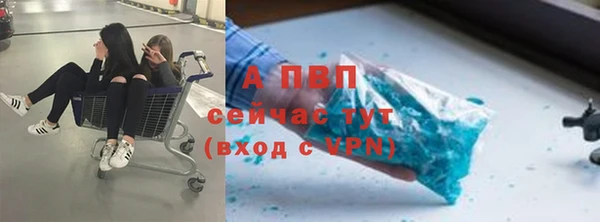 стафф Алексин