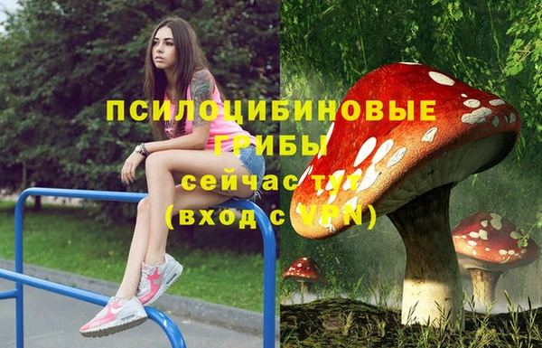 PSILOCYBIN Алексеевка